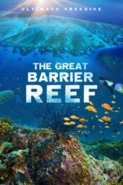 The Great Barrier Reef <strong>–</strong> Ultimate Freedive