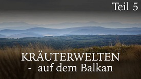 Kräuterwelten auf dem Balkan