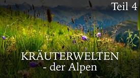 Kräuterwelten der Alpen