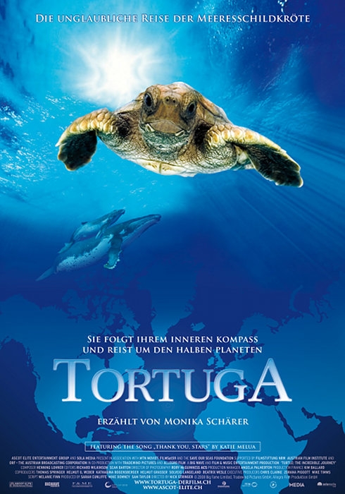 Tortuga – Die unglaubliche Reise der Meeresschildkröte